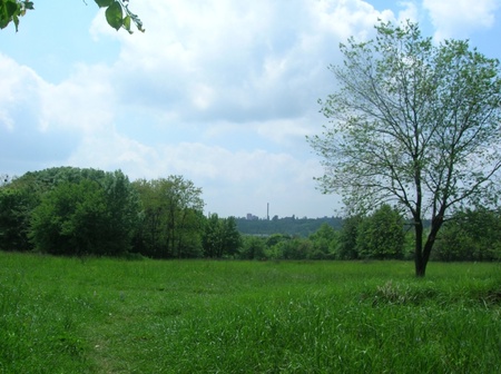 Степ-пасовище