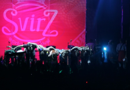 "Прощавай, Свірж!"