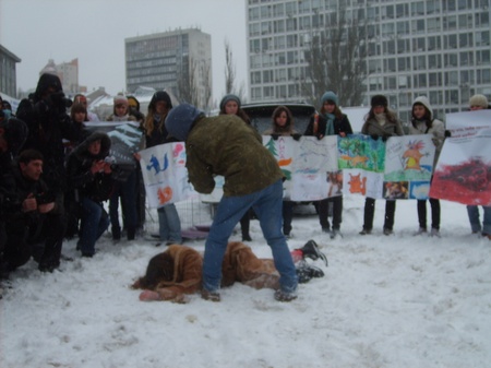 "Вбивство" хутрової тварини