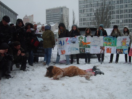 "Оглушена"тварина