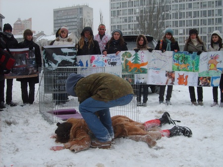 "Тварину" садять в "клітку"