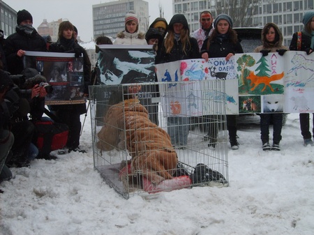 Страждання "тварини"