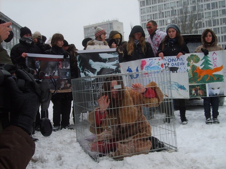 Клітка, "тварина" і зоозахисники