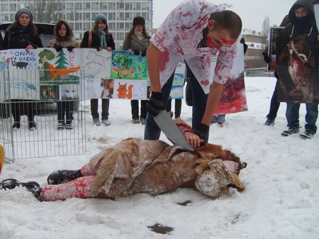 "Тварину" "свіжують"