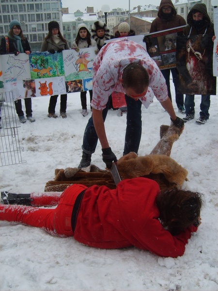 З "тварини" здерто "шкіру з хутром"...