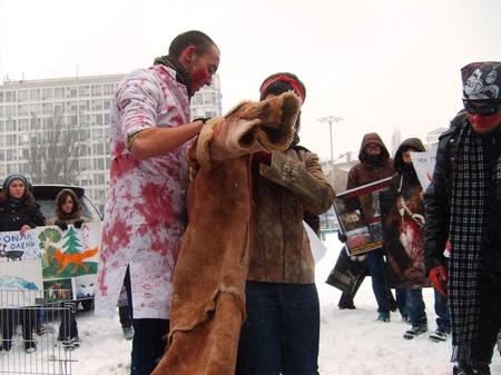 Примірювання хутра