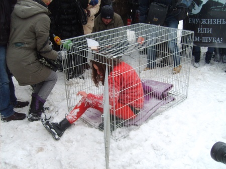 "Освіжована" "тварина" в клітці