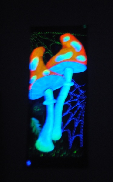 Дизайн-проект PSY Intrusion