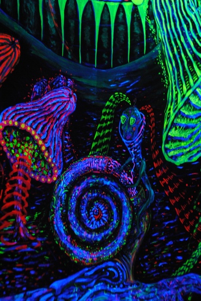 Дизайн-проект PSY Intrusion