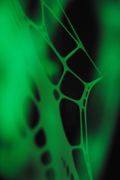 Прикраси від Psy-Ho Made